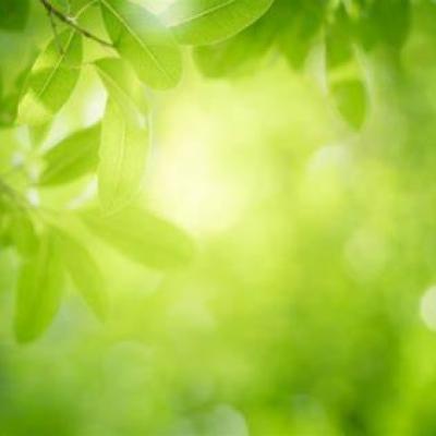 キャプチャ キャプチャ