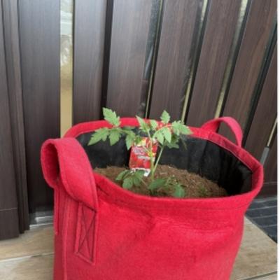 ClipboardImage ClipboardImage