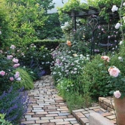 キャプチャ キャプチャ