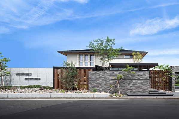 20250125_1617_24_7452w598_h399