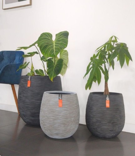 20251128_1258_44_5564w431_h499_popup