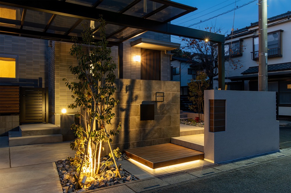 20250124_1810_10_5619w598_h399_popup