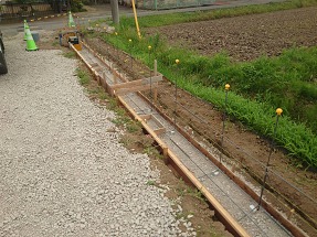 36223